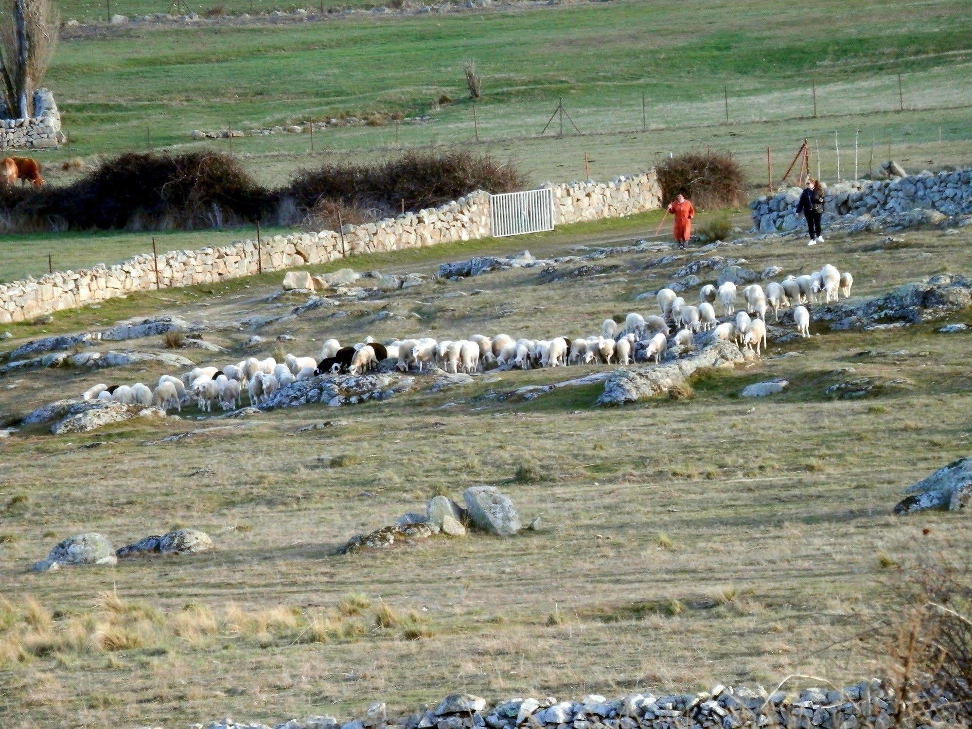 Casa Rural El Dolmen Bernuy-Salinero Bagian luar foto