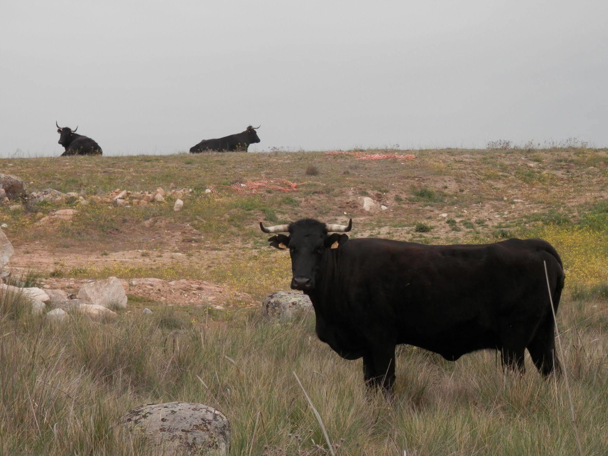 Casa Rural El Dolmen Bernuy-Salinero Bagian luar foto